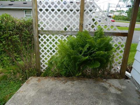 1259 S Burnett Rd, Springfield, OH 45505 photo 5