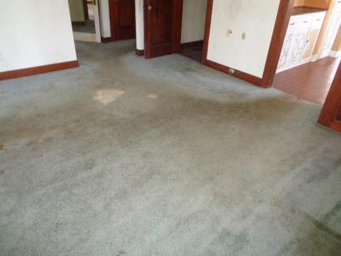 2742 N Limestone, Springfield, OH 45503 photo 5