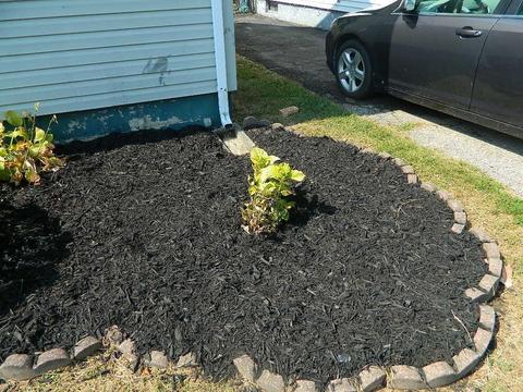 1311 Malden Ave, Springfield, OH 45504 photo 3