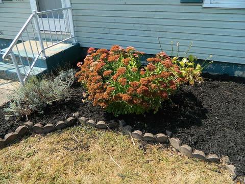 1311 Malden Ave, Springfield, OH 45504 photo 2
