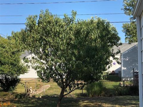 1424 Amherst, Springfield, OH 45504 photo 21