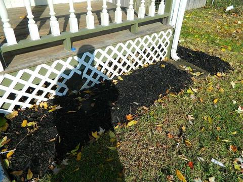 611 Mason St, Springfield, OH 45503 photo 2