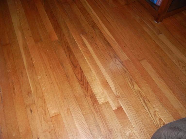 418 N Western Ave, Springfield, OH 45504 photo 6