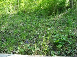 2467 Penewit Rd, Spring Valley, OH 45370 photo 26
