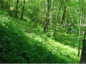 2467 Penewit Rd, Spring Valley, OH 45370 photo 20