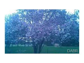 3200 Ferry Rd, Bellbrook, OH 45305 photo 4