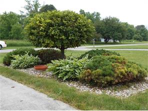 1205 Arthur Dr, Wilberforce, OH 45384 photo 5