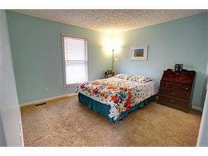 9774 Scotch Pine Dr, Springboro, OH 45066 photo 19