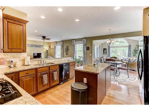 10916 Cobble Brook Dr, Dayton, OH 45458 photo 17