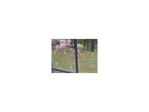 1318 Oakcrest Ave, Dayton, OH 45409 photo 24