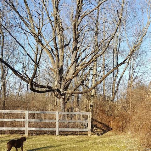 136 E Spring St, Clayton, OH 45315 photo 40