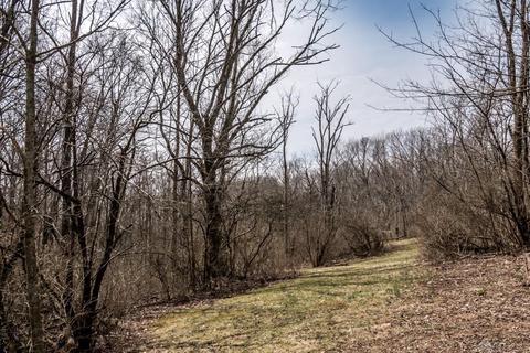 3399 Trovillo Rd, Morrow, OH 45152 photo 24