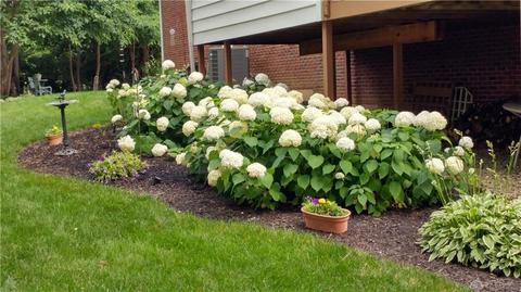 431 Timberleaf Dr, Beavercreek, OH 45430 photo 74