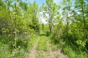 5668 National Rd, Springfield, OH 45504 photo 36