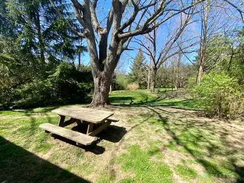 528 E Home Rd, Springfield, OH 45503 photo 23