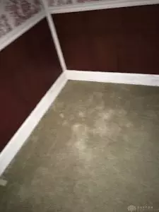 111 W Harding Rd, Springfield, OH 45504 photo 7