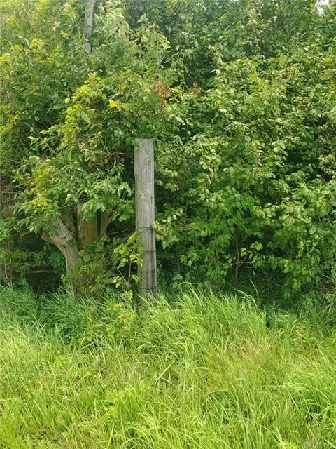 . Johnston Road, Sidney, OH 45365 photo 8