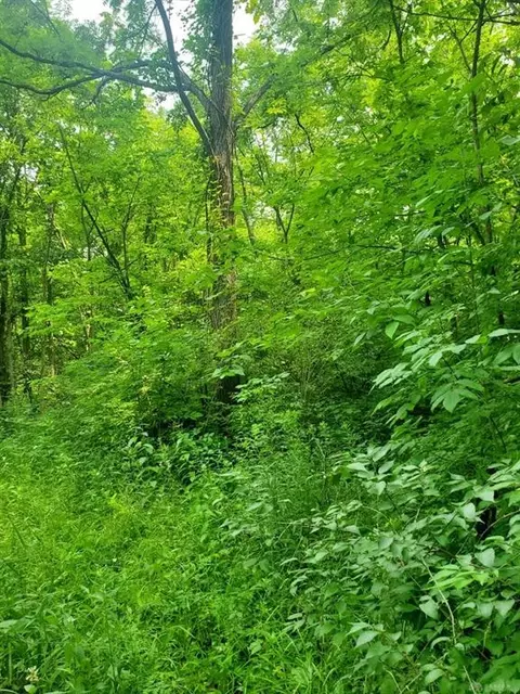 . Johnston Road, Sidney, OH 45365 photo 5