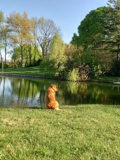 114 Valhalla Dr, Eaton, OH 45320