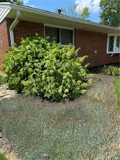 55 Willow Dr, Springboro, OH 45066 photo 49