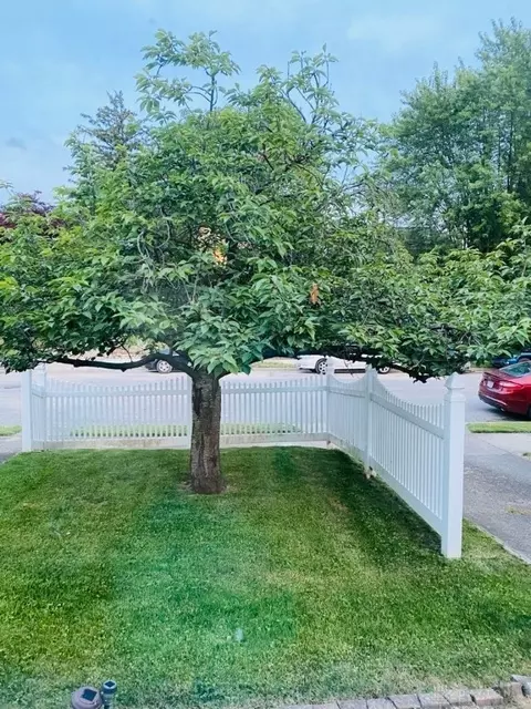 1315 N Lowry Ave, Springfield, OH 45504 photo 37