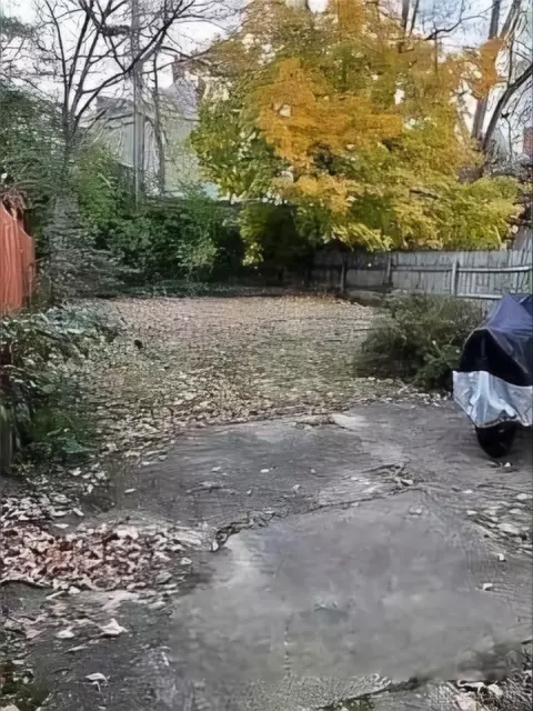 2541 Hackberry, Cincinnati, OH 45206 photo 8