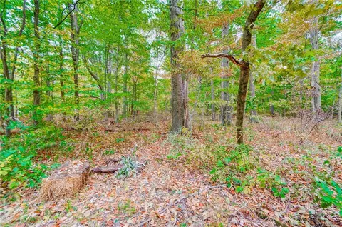 2936 Middleboro Rd, Morrow, OH 45152 photo 38