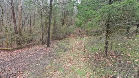 5 Ac Edwardsville Rd, Blanchester, OH 45107 photo 7