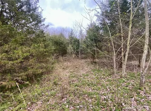 10 6ac Watson Rd, Hamersville, OH 45130