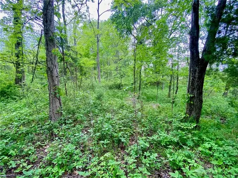 21 Ac Patton Rd, Winchester, OH 45697