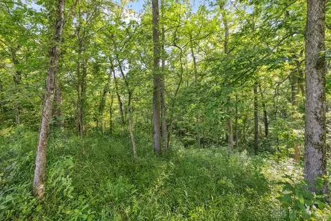 Exterior - 7373 Crowl Rd, De Graff, OH 43318 photo 14 of 29