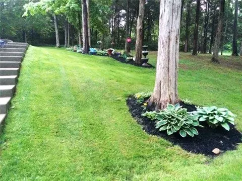 Exterior - 7182 Brook Dr, Morrow, OH 45152 photo 8 of 20