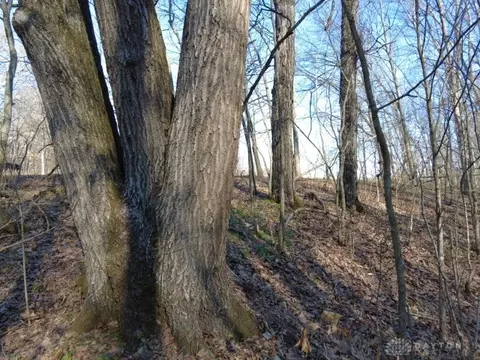 1459 State Route 73, Peebles, OH 45660