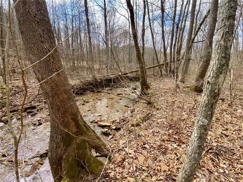 20 Beech Fork Rd, Otway, OH 45657 photo 9