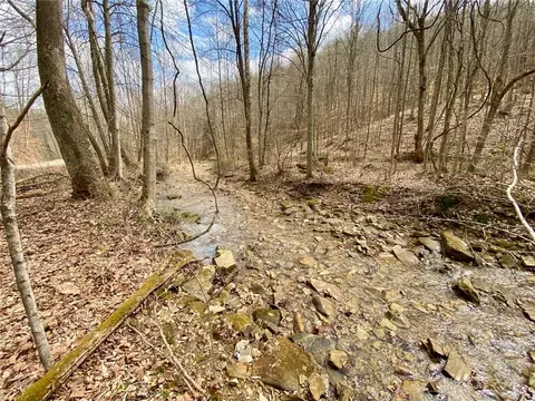20 Beech Fork Rd, Otway, OH 45657 photo 10