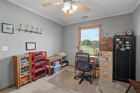 1992 Willoughby Ave, Springfield, OH 45502 photo 18