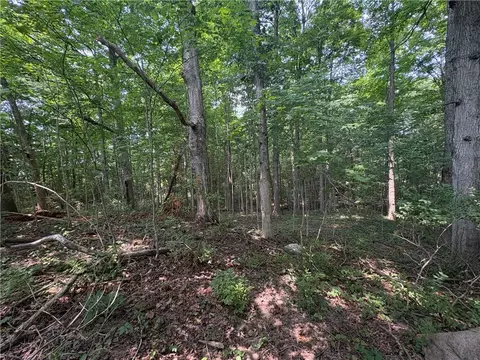 0 Licklider Rd, Conover, OH 45317 photo 2