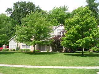 981 Nottingham Dr, Cincinnati, OH 45255 photo 1