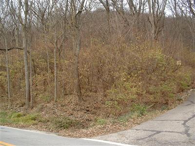4350 Hillside Ave, Delhi Twp, OH 45233 photo 1