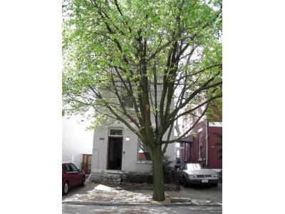 237 Klotter Ave, Cincinnati, OH 45219 photo 1