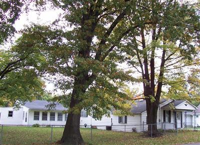 11966 Sixth Ave, Cincinnati, OH 45249 photo 1