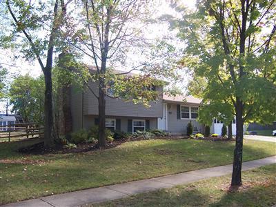 4602 Brookview Dr, Batavia, OH 45103 photo 1