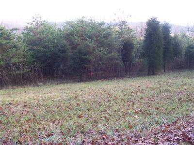 355 Cedar Fork Ln, Peebles, OH 45660 photo 1