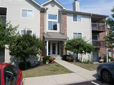 973 Cedar Ridge Dr #2, Cincinnati, OH 45245 photo 3