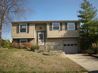 167 Treeline Ct, Harrison, OH 45030 photo 3
