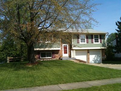 10382 Pippin Rd, Cincinnati, OH 45231 photo 1