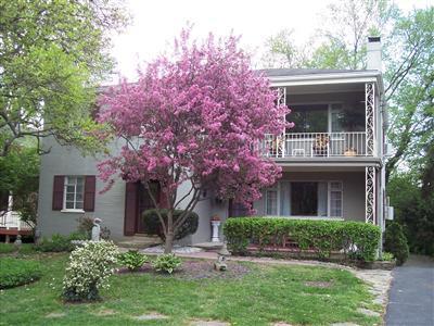 6909 Murray Ave, Mariemont, OH 45227 photo 3