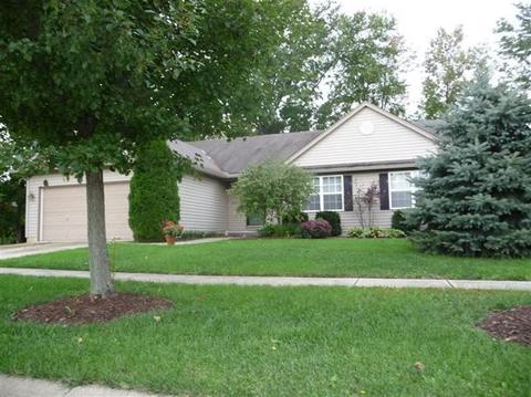 351 Bunchberry Dr, Maineville, OH 45039 photo 1