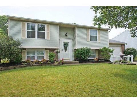 137 Treeline Ct, Harrison, OH 45030 photo 1