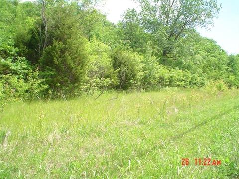 4212 River Rd, Cincinnati, OH 45204 photo 1